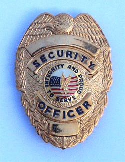 PRIVATE SECURITY OFFICER EAGLE OVER FLAGS SHIELD BADGE