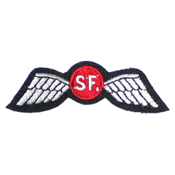 OSS Wing/Special Forces - Military Patches and Pins