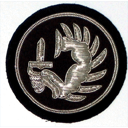 Metro Para/Black/2 3/4" Bullion - Military Patches and Pins