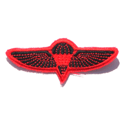 Israeli Para Wing/Red - Military Patches and Pins