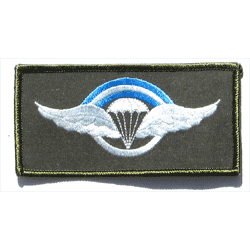 Argentine Para Sr. - Military Patches and Pins