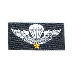 ARVN Para Wing/cloth - Military Patches and Pins