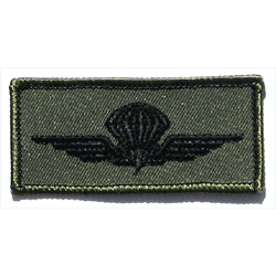 Panama Para, Sub'd. - Military Patches and Pins