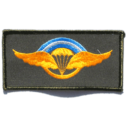 Argentine Para Ms - Military Patches and Pins