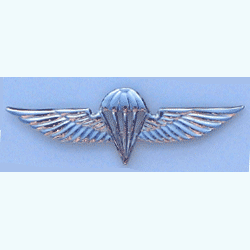 Israeli Para Wing Badge w/2 clutches - Military Patches and Pins