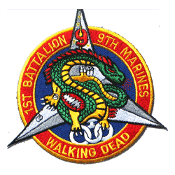 1st Bn 9th Marines - Military Patches and Pins