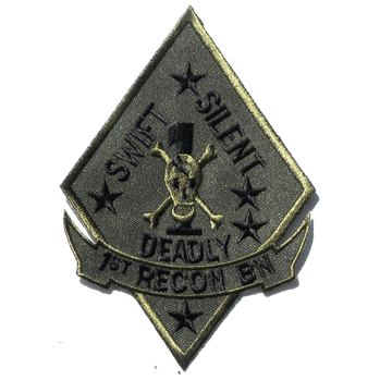 1st Recon Bn/Sub'd./4" - Military Patches and Pins