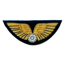 AVG 3" Bullion Wing - Military Patches and Pins