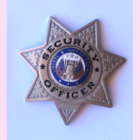 7 Point Security Officer Silver w/Pin Backing - Military Patches and Pins