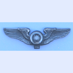 Balloon Wing Sterling Pin w/pin backing - Military Patches and Pins