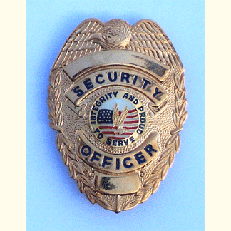 Security Officer w/Eagle and Pin Backing - Military Patches and Pins